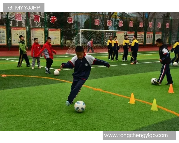 屯昌足球崛起之路探索地方足球发展与青少年培养的未来之光